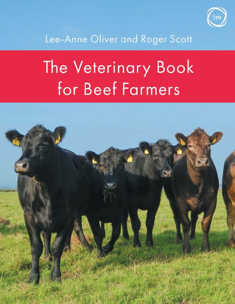The Veterinary Book For Beef Farmers Pdf Download