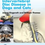 Advances in Intervertebral Disc Disease in Dogs and Cats