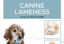 Canine Lameness