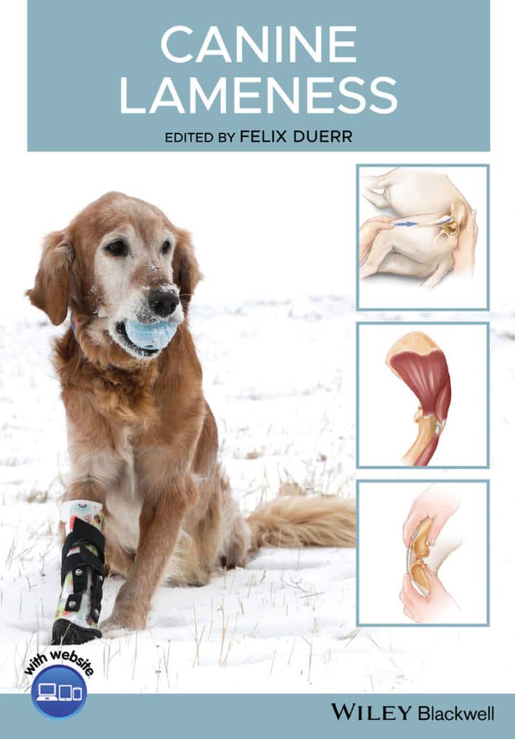 Canine Lameness Pdf Download