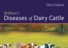 Rebhun'S Diseases Of Dairy Cattle 3Rd Edition