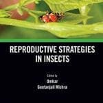 reproductive-strategies-in-insects
