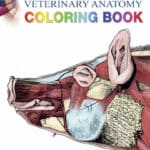 Saunders Veterinary Anatomy Coloring Book