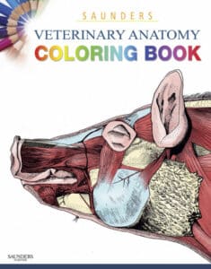 Saunders Veterinary Anatomy Coloring Book