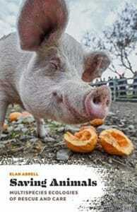 saving-animals-multispecies-ecologies-of-rescue-and-care