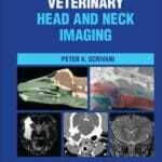 veterinary-head-and-neck-imaging