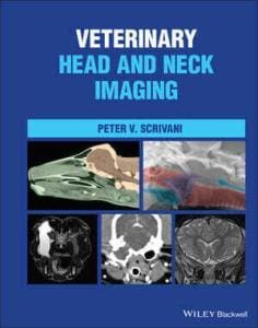 veterinary-head-and-neck-imaging