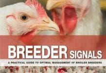 Breeder Signals, A Practical Guide to Optimal Management of Broiler Breeders