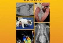 Cardiovascular Disease in Companion Animals: Dog, Cat and Horse, 2nd Edition