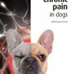 Chronic Pain in Dogs