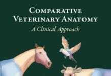 Comparative Veterinary Anatomy, A Clinical Approach PDF