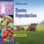 Bovine Reproduction, 2nd Edition
