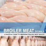 Broiler Meat Signals: A Practical Guide to Improving Poultry Meat Quality Broiler Meat Signals: A Practical Guide to Improving Poultry Meat Quality