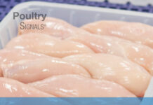 Broiler Meat Signals: A Practical Guide to Improving Poultry Meat Quality Broiler Meat Signals: A Practical Guide to Improving Poultry Meat Quality