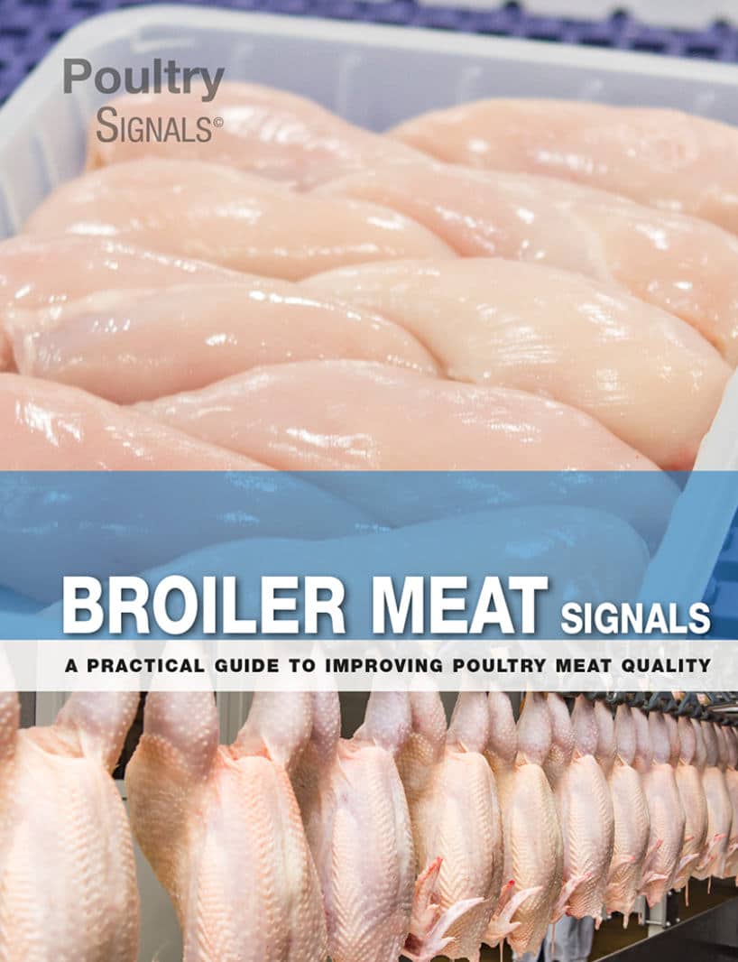 Broiler Meat Signals: A Practical Guide To Improving Poultry Meat Quality Pdf Download