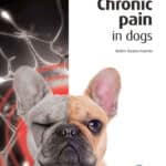 Chronic Pain in Dogs