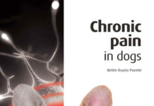 Chronic Pain in Dogs