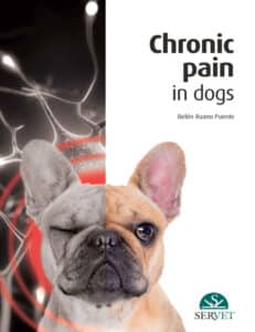 Chronic Pain In Dogs