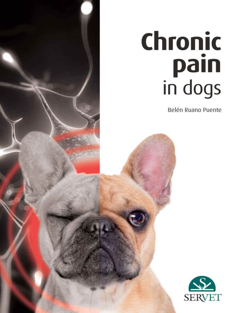 Chronic Pain In Dogs Pdf Download
