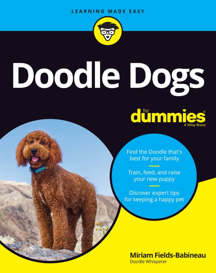 Doodle Dogs For Dummies Pdf Download