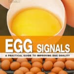 Egg Signals, A Practical Guide to Improving Egg Quality Egg Signals, A Practical Guide to Improving Egg Quality