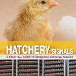 Hatchery Signals: A Practical Guide to Improving Hatching Results Hatchery Signals: A Practical Guide to Improving Hatching Results