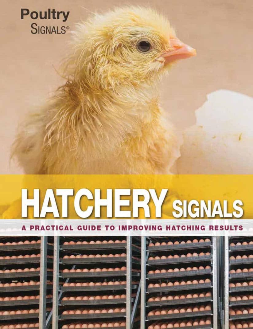 Hatchery Signals: A Practical Guide To Improving Hatching Results Pdf Download