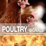 Poultry Signals: A Practical Guide for Bird Focused Poultry Farming Poultry Signals: A Practical Guide for Bird Focused Poultry Farming