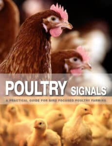 Poultry Signals: A Practical Guide for Bird Focused Poultry Farming Poultry Signals: A Practical Guide for Bird Focused Poultry Farming