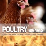 Poultry Signals: A Practical Guide for Bird Focused Poultry Farming