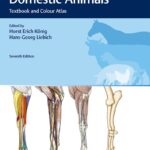 Veterinary Anatomy of Domestic Animals: Textbook and Colour Atlas 7th Edition