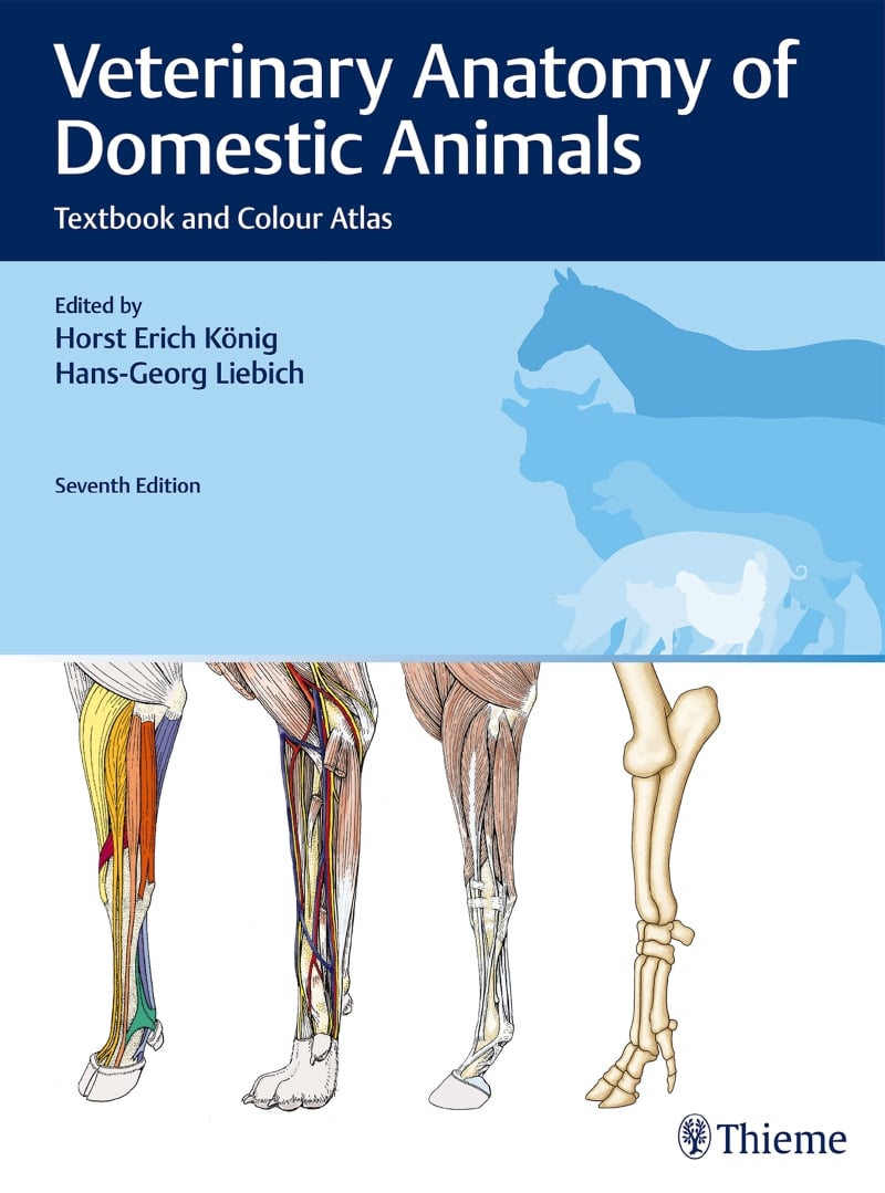 Veterinary Anatomy Of Domestic Animals Pdf Download
