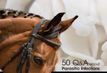 50 Q&A about Parasitic Infections of Horses