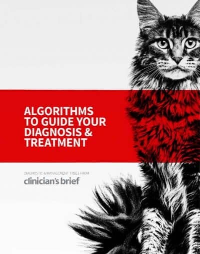 Clinician’s Brief: Algorithms to Guide Your Diagnosis and Treatment PDF