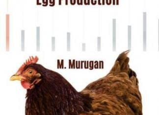 Commercial Chicken Egg Production PDF