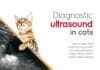 Diagnostic Ultrasound in Cats PDF Download