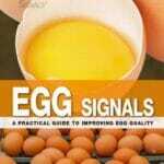 Egg-Signals-A-Practical-Guide-to-Improving-Egg-Quality
