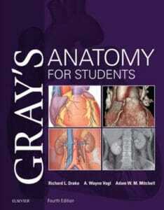 Gray’s Anatomy for Students 4th Edition gray's anatomy for students pdf 4th Edition