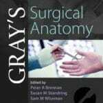 Gray’s Surgical Anatomy PDF