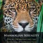 Mammalian Sexuality: The Act of Mating and the Evolution of Reproduction PDF