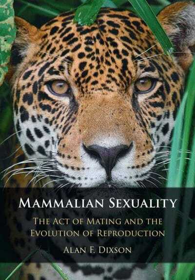Mammalian Sexuality: The Act of Mating and the Evolution of Reproduction PDF