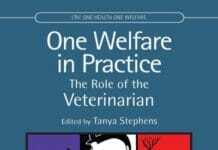 One Welfare in Practice: The Role of the Veterinarian