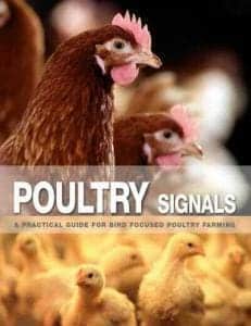 Poultry-Signals-A-Practical-Guide-for-Bird-Focused-Poultry-Farming