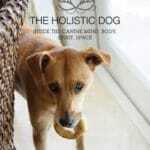 The Holistic Dog: Inside the Canine Mind, Body, Spirit, Space PDF