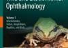 Wild and Exotic Animal Ophthalmology, Volume 1, Invertebrates, Fishes, Amphibians, Reptiles, and Birds PDF