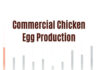Commercial Chicken Egg Production Pdf