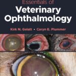 Essentials of Veterinary Ophthalmology 4th Edition