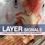 Layer Signals: A Practical Guide to Layer Focused Management Layer Signals: A Practical Guide to Layer Focused Management