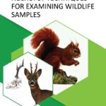 Necropsy Techniques for Examining Wildlife Samples