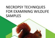 Necropsy Techniques for Examining Wildlife Samples